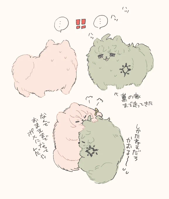ジョチェポメガバース🐯🐶🐶🌸この後1日めちゃくちゃ遊んで寝てご飯はカーラが何とかしてくれた 