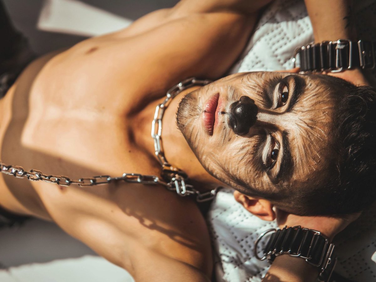 randyblueLIVE's tweet photo. Axel gets creative on live gay chat.
He can be your wolf anytime you want.
See this stud on #RandyBlueLive!
@axelkolll
https://t.co/WmjP8dxS5Z
#wolfmoon #meninchains #hotstuds https://t.co/6HmNTb6JVT