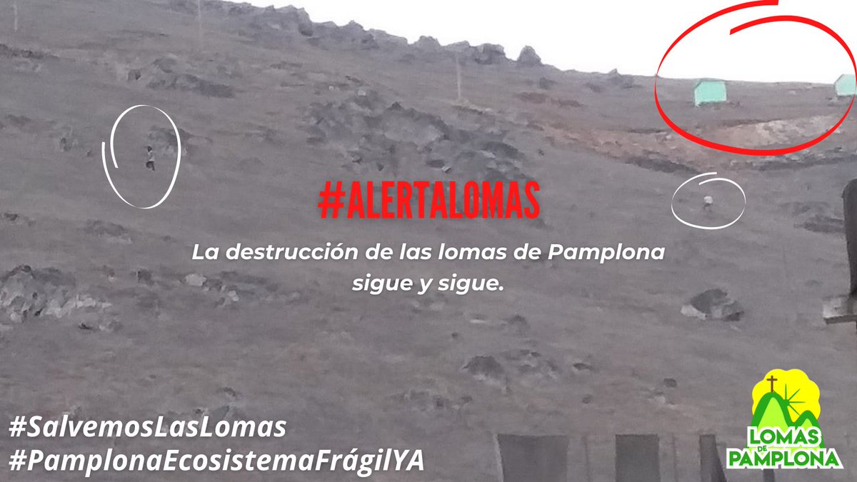 lomasdepamplona's tweet photo. #AlertaLomas 🆘
La grave afectación a las #LomasDePamplona no ha cesado. Y esta foto, tomada el día de hoy, pone en evidencia tan nefasta situación.
URGE que @sjm_muni, @PoliciaPeru, @sbn_peru, @SerforPeru, @MinamPeru y @MuniLima actúen de una buena vez.
#SalvemosLasLomas 💚 https://t.co/Qk21JfbTtl