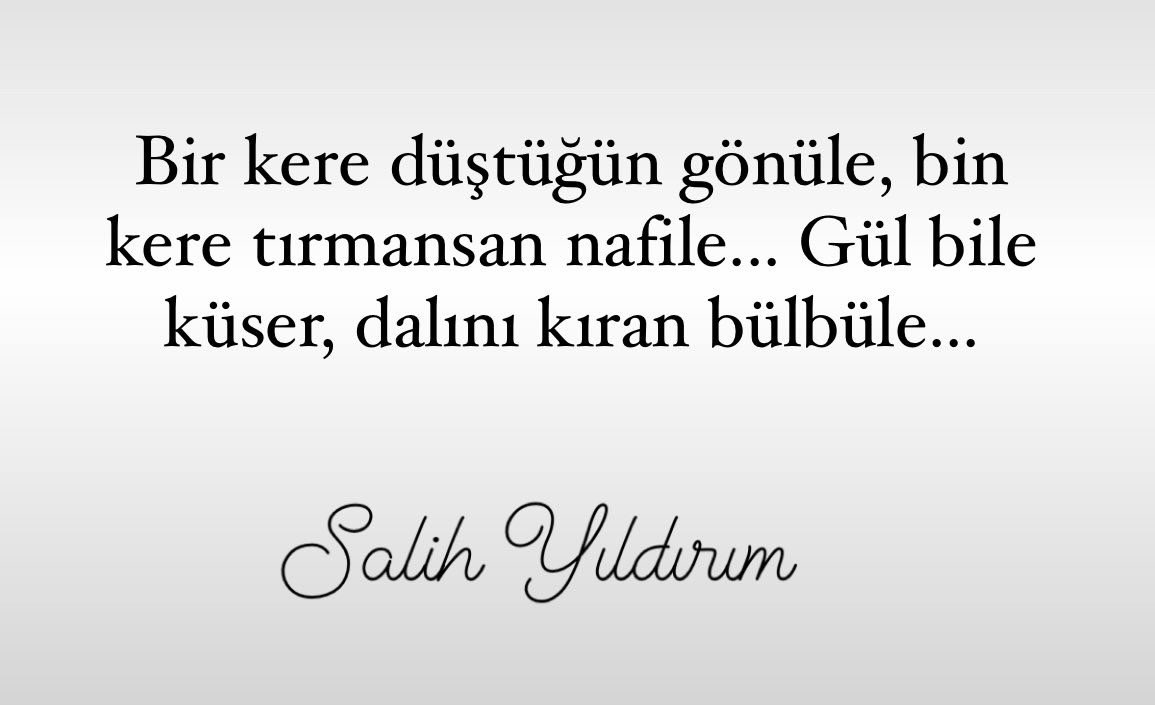 Salih Yıldırım (@_salihyildirim) on Twitter photo 