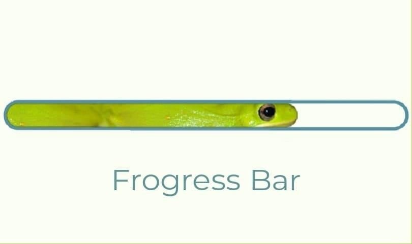 FrogeFi's tweet photo. #FrogeX #frogress #froge https://t.co/KYNAzyEjDp