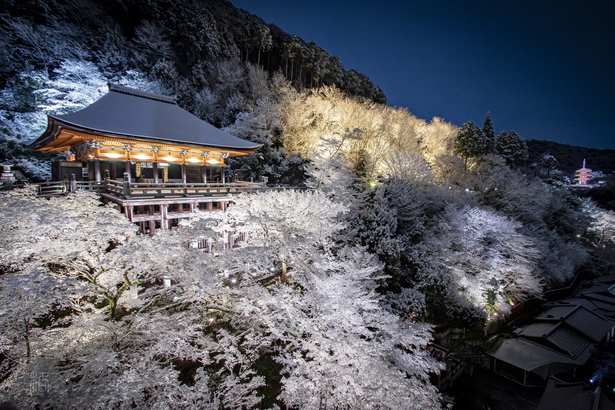清水寺×雪 2021.12.31〜2022.1.1 この時もピタッと雪が止みました。 Instagram： tadashi04042000 EOS7DⅡ、EF-S10-22USM