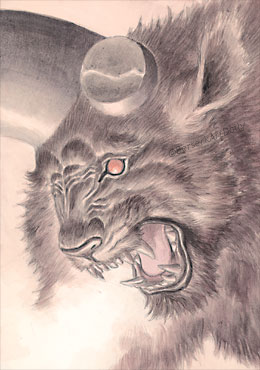 ベルセルク BERSERK TCG ゾッド BK3 54 パラレルレア ベルセルク