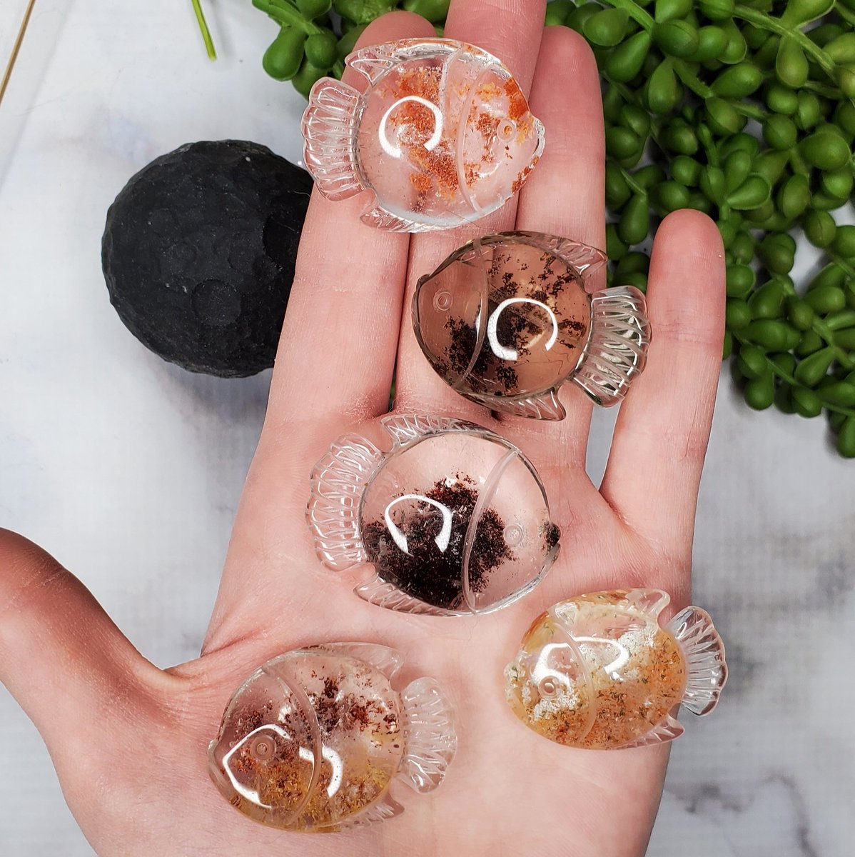 kimskrystalshop's tweet photo. phantom quartz fishies 🐠

these crystals are apart of my shop update happening this Friday 1/14 at 6pm est 🌊 https://t.co/gp4pPqi7IR