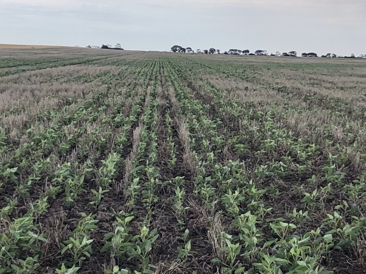 Craig Drum tweet media