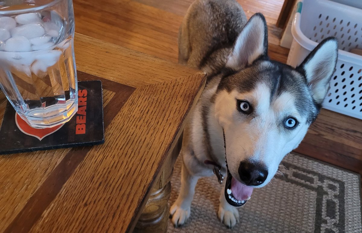 Matt Dayhoff tweet media