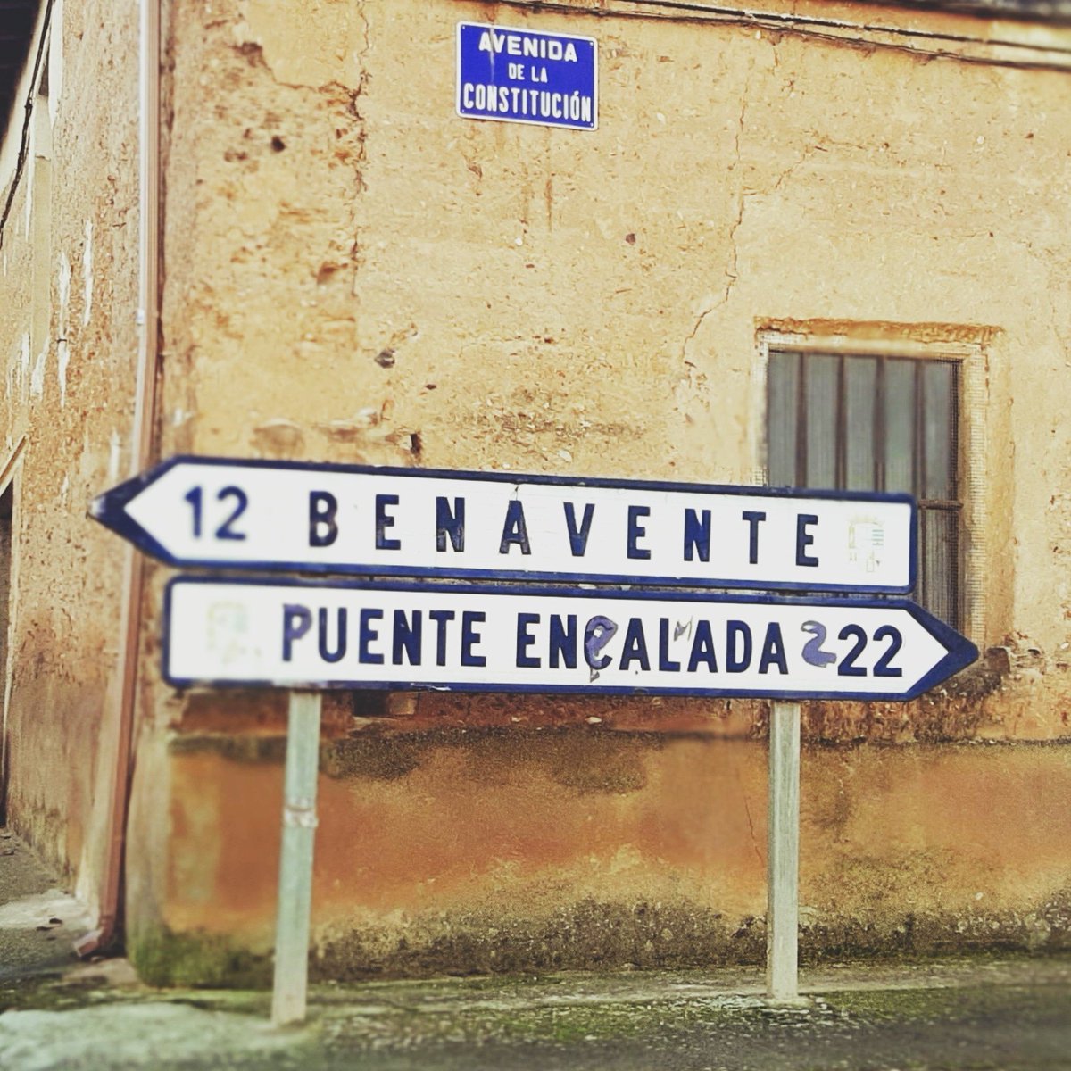 CalvoMarcelino's tweet photo. Aquí, justo aquí, entre #Benavente  y #fuenteencalada se come de puta madre.

@RBrigecio

¡te lo digo yo y punto! https://t.co/lHYBpH9oj1