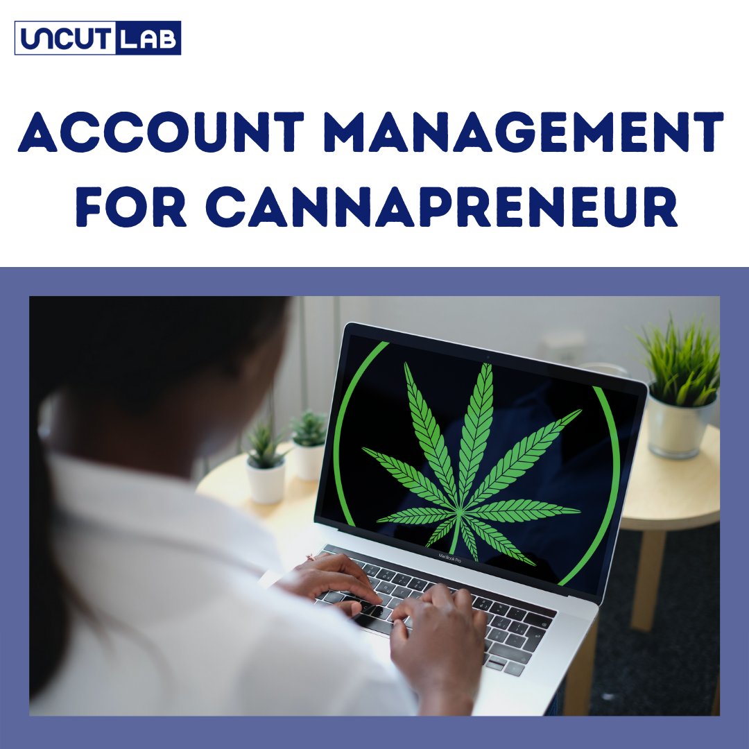 uncutlab's tweet photo. If you're a cannapreneur, consider investing in an appropriate account management software that could manage every nook and corner of finance -  costs for inventory, labor, rent, utilities, plants or entire batch of plants to adhere to flexible and compliant audit. https://t.co/DT19kKA21Z