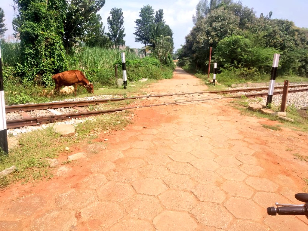 Prathap T tweet media