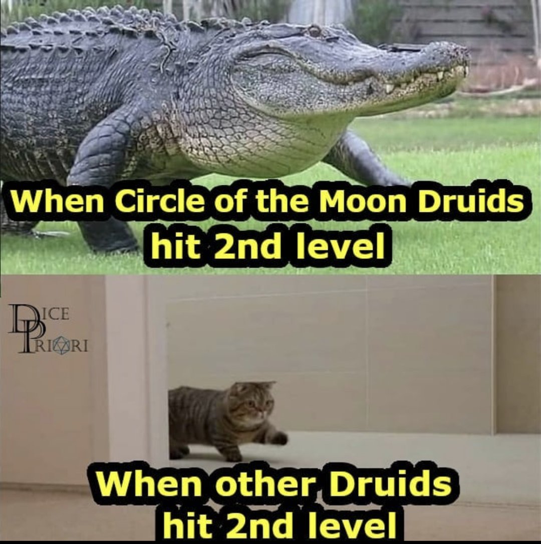 Maybe deep down I'm afraid of any apex predator that lived through the K-T extinction. Physically unchanged for 100,000,000 years, because it's the perfect killing machine. A half ton of cold-blooded fury, with a bite force of 20,000 Newtons.....