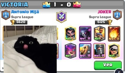 Antonio Mijä 🅤 tweet media