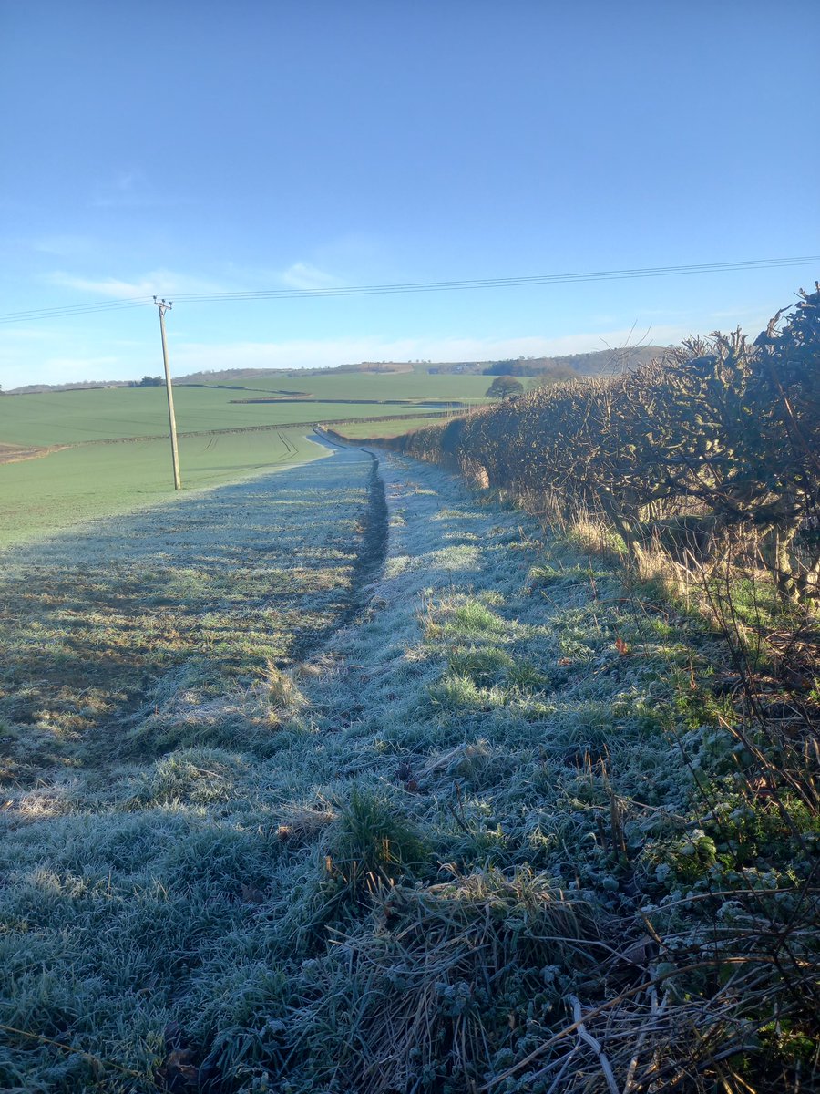 RobertAblade1's tweet photo. Nice to see a good Frost and a blue sky in South Shropshire today. Out and  about seeing blade finishes. discussing cattle for spring #rollonspring #bladefarming #gamechanger https://t.co/kfp0rx1OZB