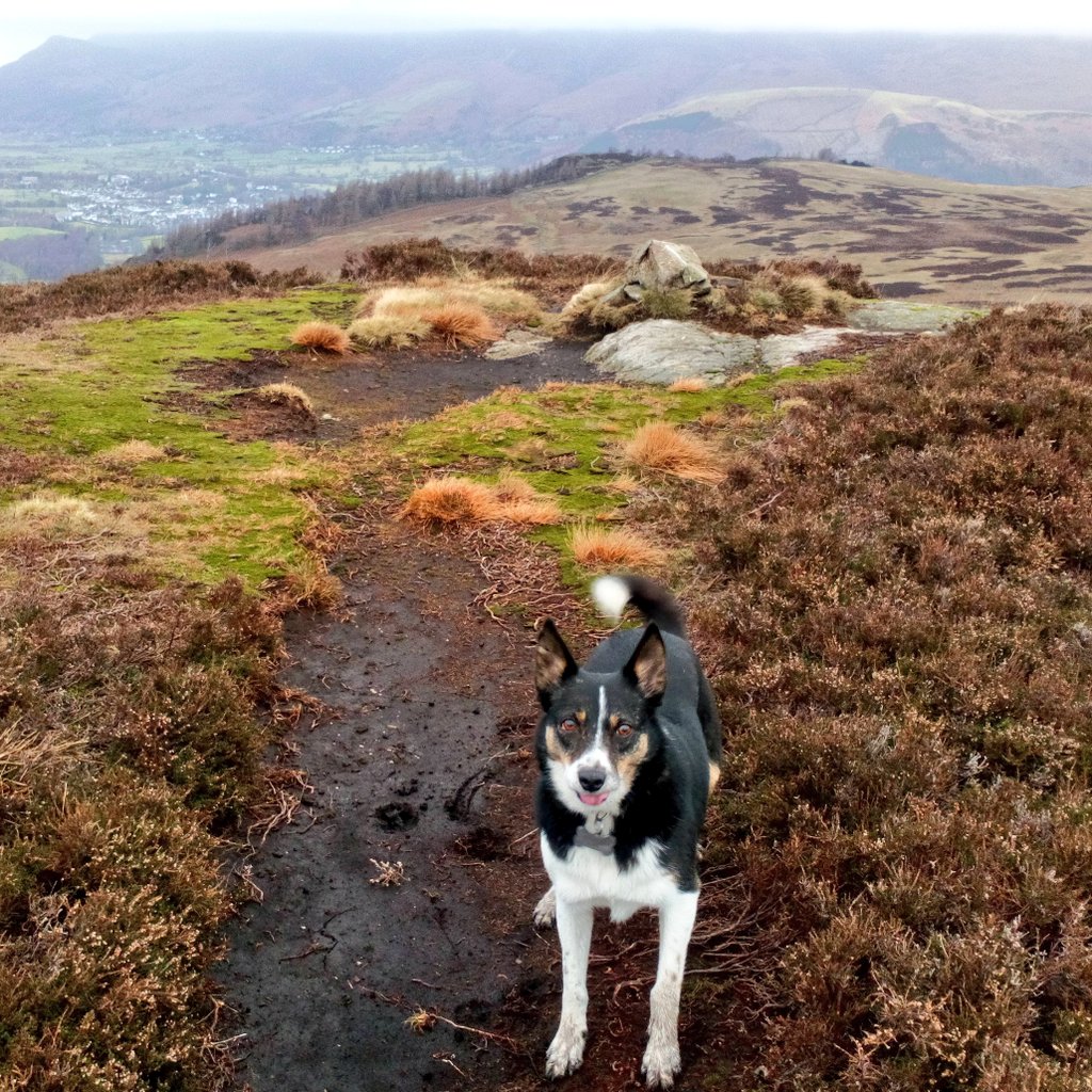 Nell & Jess tweet media