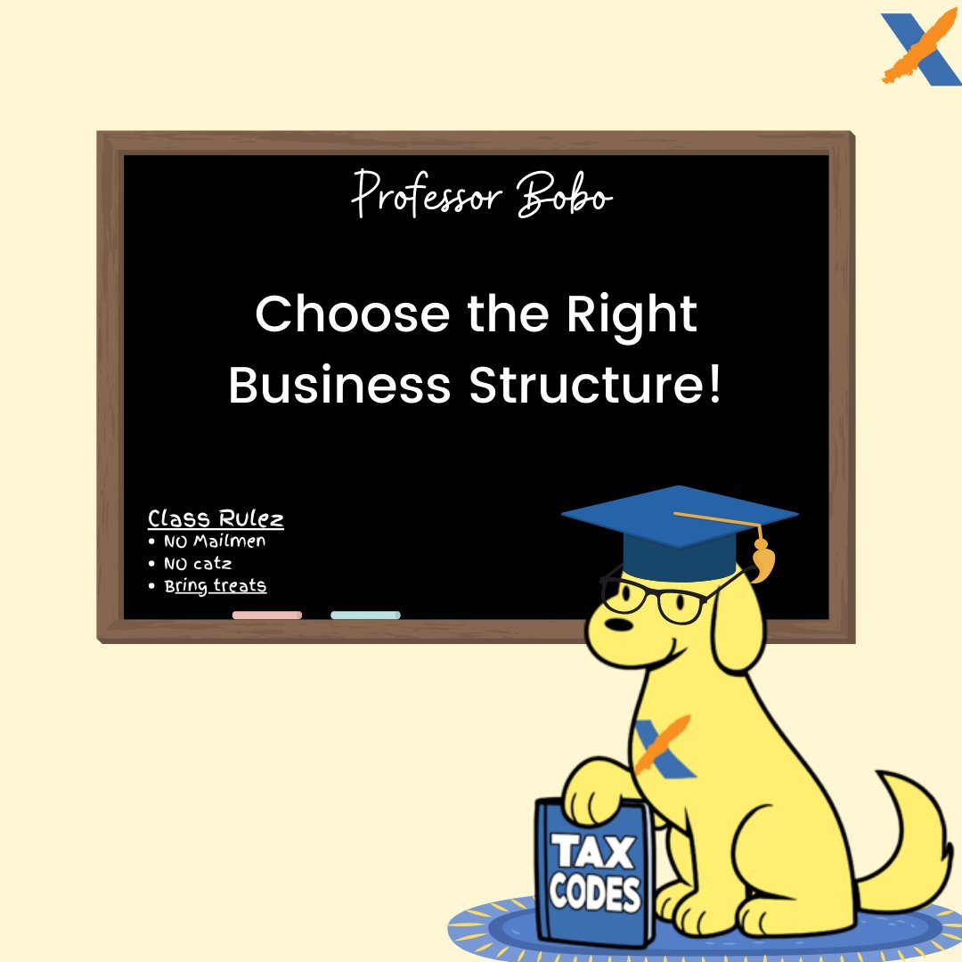 Choosing the right business structure can have a huge impact on both your business and taxes. Make sure you don't overpay on taxes by heading over to our blogs in our website (link in bio) and learn about the different company structures and the best option for your company.