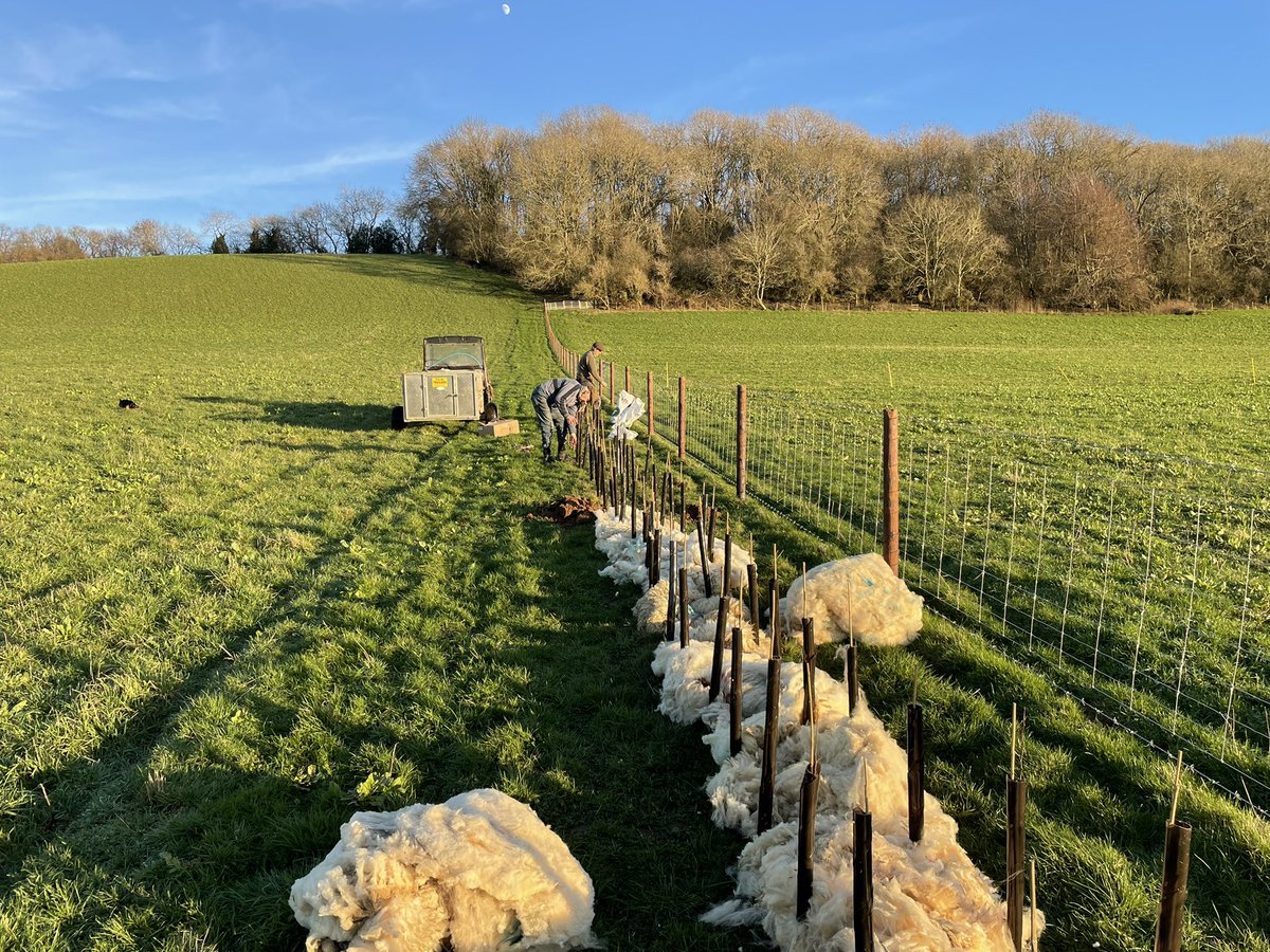 Garton Hardy Farming tweet media