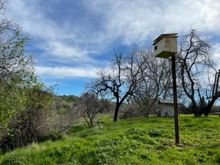 We give a hoot about local wildlife! Nesting boxes can be a great lifeline for nesting birds in the Spring. 

Our team was hard at work putting up nesting boxes at Sackett Ranch, along Putah Creek. 
🦉