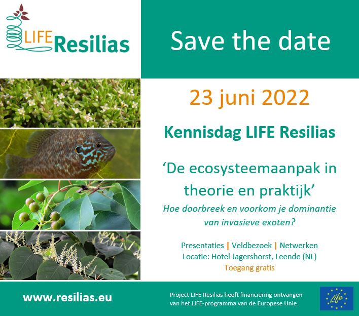 #Savethedate: de 1e <a href="/LIFEprogramme/">LIFE Programme</a> LIFE Resilias Kennisdag is gepland op 23 juni 2022. Hoe doorbreek en voorkom je dominantie van invasieve exoten? Zowel theorie als praktijk van de #ecosysteemaanpak via presentaties en veldbezoek. Toegang is gratis!
resilias.eu/nieuws/save-th…