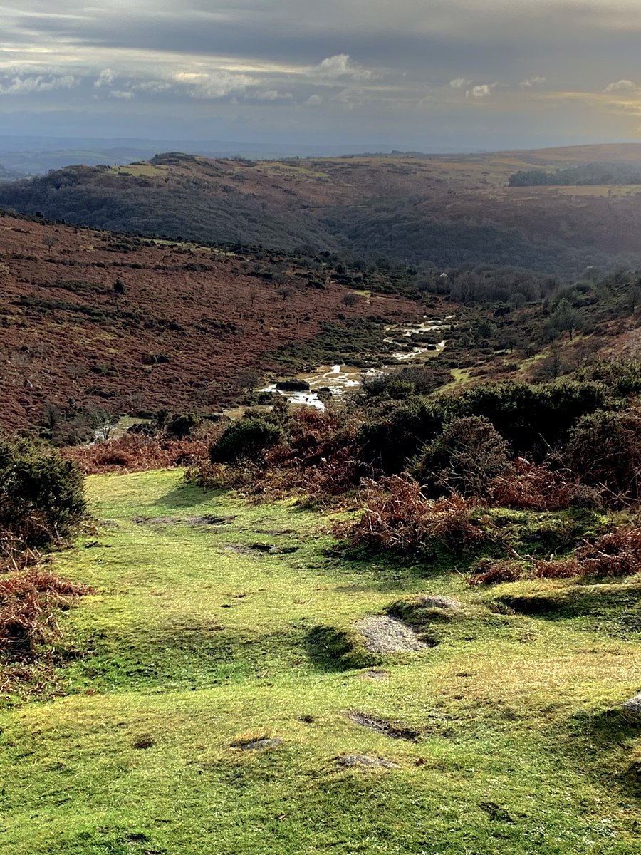 Steve Robertson tweet media