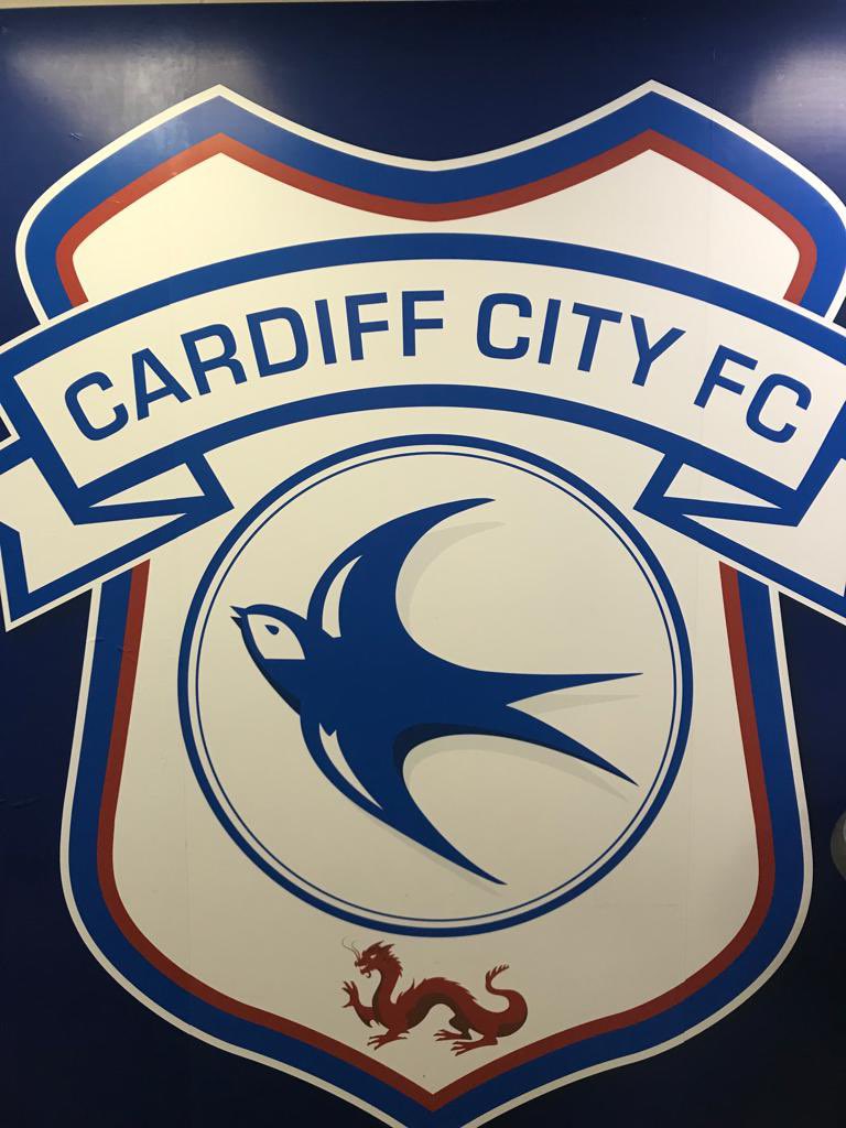 Cardiff City FC on X: 𝐂𝐑 4️⃣7️⃣ 💙 #WallpaperWednesday 📱 #CityAsOne   / X