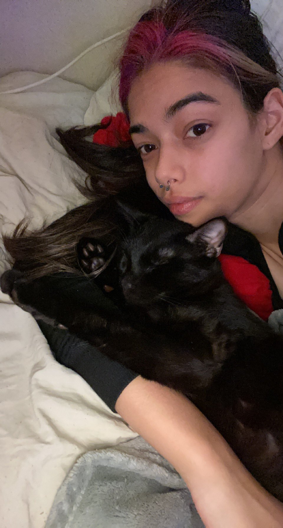 TW Pornstars - 💝harmony Marvella W. 👑. Twitter. in the meantime i will be  in bed with my cuddle buddy. 7:41 PM - 12 Jan 2022