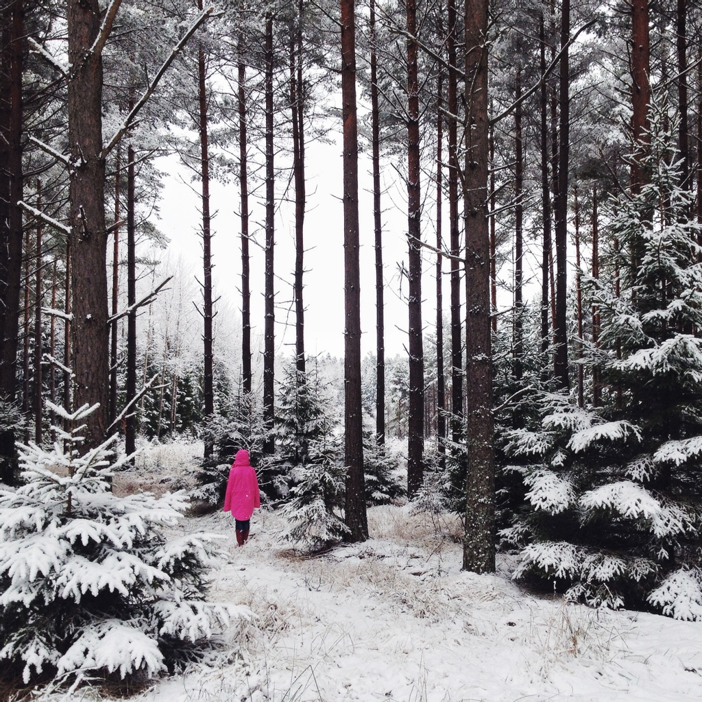 Go_Girls's tweet image. 