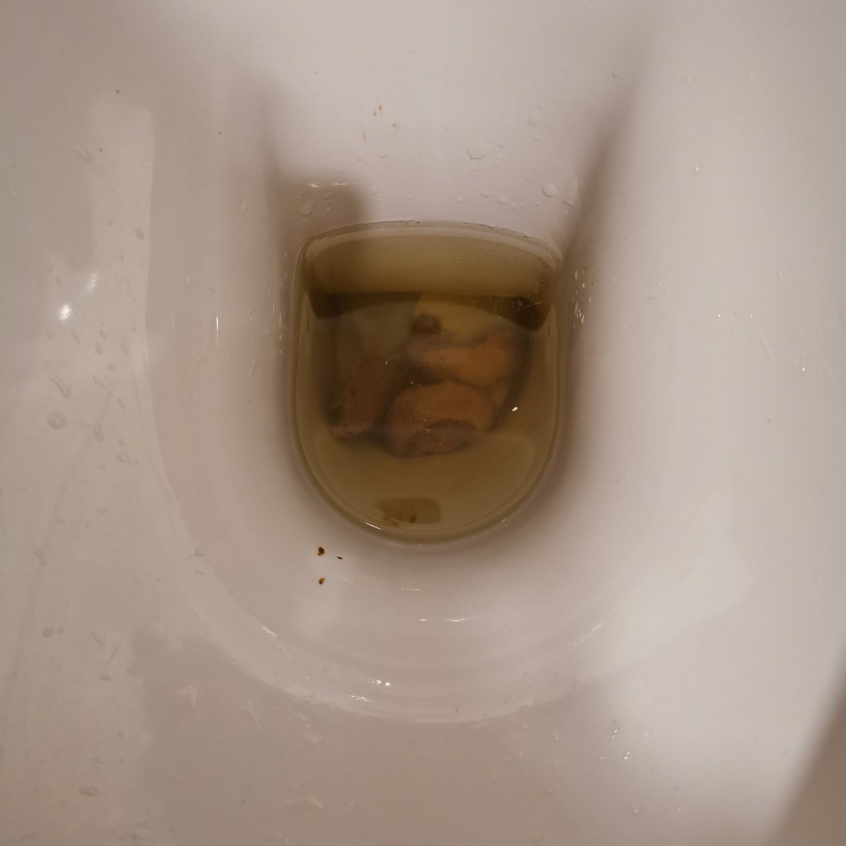 SabrinaGoettin's tweet photo. Wo sind meine Toilettensklaven? Das findet ihr doch geil 🔥

Für mehr, ab in meine DM's 😏

#Sklave #Toilettensklave #Göttin https://t.co/HUwL15NjsJ