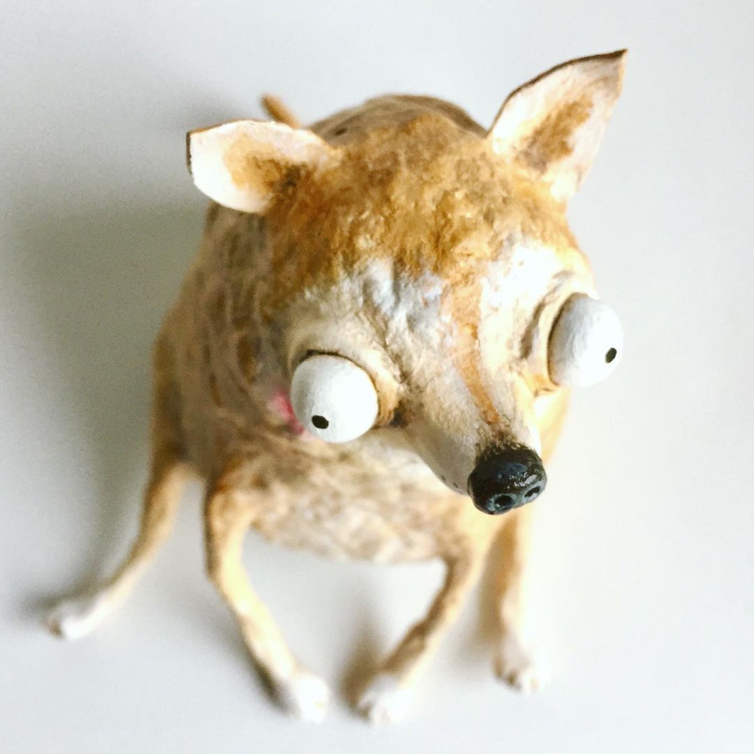 HarlowMatty's tweet photo. this guy #creativedogs #dogs #Chihuahuas https://t.co/Wrh29PDofi