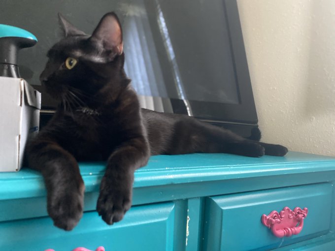 @boobol8 he has the *smallest* white spot on his chest https://t.co/MlEQktyyfF<a class="tags" target="_blank" title="On Twitter" href="/?out=eyJ0eXAiOiJKV1QiLCJhbGciOiJIUzUxMiJ9.eyJpYXQiOjE3MzM1MTMxNTcsImlzcyI6InR3cG9ybnN0YXJzLmNvbSIsIm5iZiI6MTczMzUxMzE1NywiZXhwIjoxNzY1MDQ5MTU3LCJyZWRpcmVjdF91cmwiOiJodHRwczovL3R3aXR0ZXIuY29tL2Jvb2JvbDgifQ.IwJaT35JEGvlAuiEvfi_OE3KSonC5C0qh39RzOfR5KoB4wBLFZBvn-fjMFhWmrbog4ID50JPGP9Ro74GagY5Mg">@boobol8</a><a href="/tag/newprofilepic"class="tags"><span>#newprofilepic</span></a>