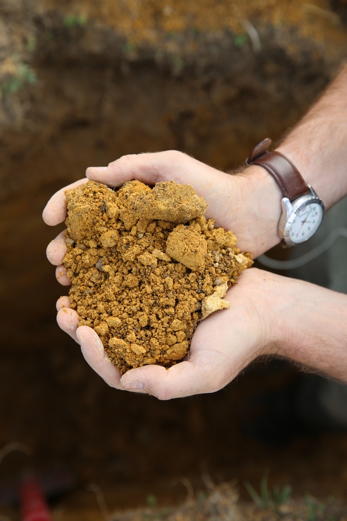We are excited to bring you our 𝐒𝐨𝐢𝐥 𝐖𝐨𝐫𝐤𝐬𝐡𝐨𝐩 𝟐.𝟎 next month.  
9 Feb 11am⁠ - Soil Health Webinar: How to improve soil health and the science behind it.⁠
⁠Register here: bit.ly/3HWX3tt
⁠16 Feb - Regional field sessions (more info to come)⁠
⁠