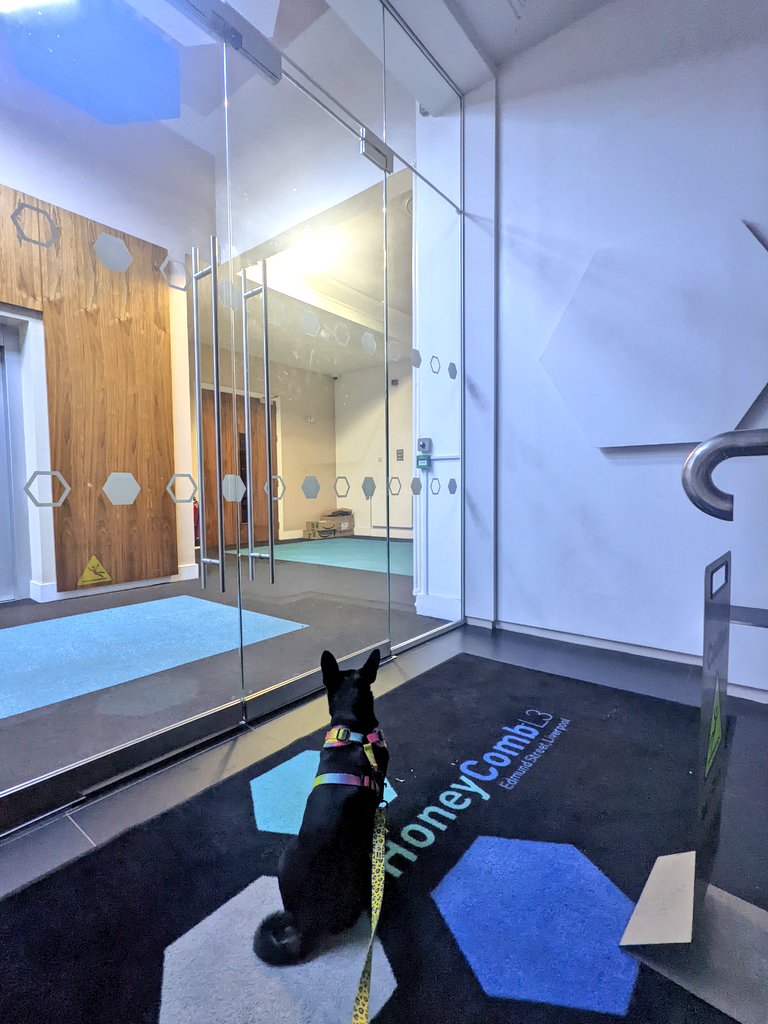 Another day, another jail scenario. Fewer bars this time.