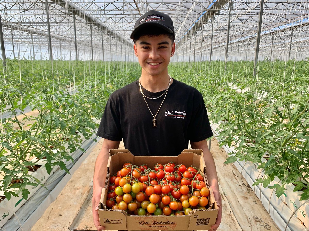 AUSVEG's tweet photo. Salvatore Sacca is the general manager/owner of Da’Salvatore, which specialises in the production of unique high-quality lines such as #cherrytomatoes, #mini cucumbers & heirlooms.
Read more > https://t.co/eJzZLv0PGX @AUSVEG_SA
#ausveg #vegnet #horticulture #vegetablegrower https://t.co/mXPq9v4jML