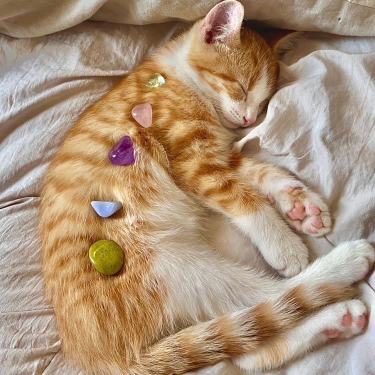 ‏ْ (@piinkifairy) on Twitter photo 