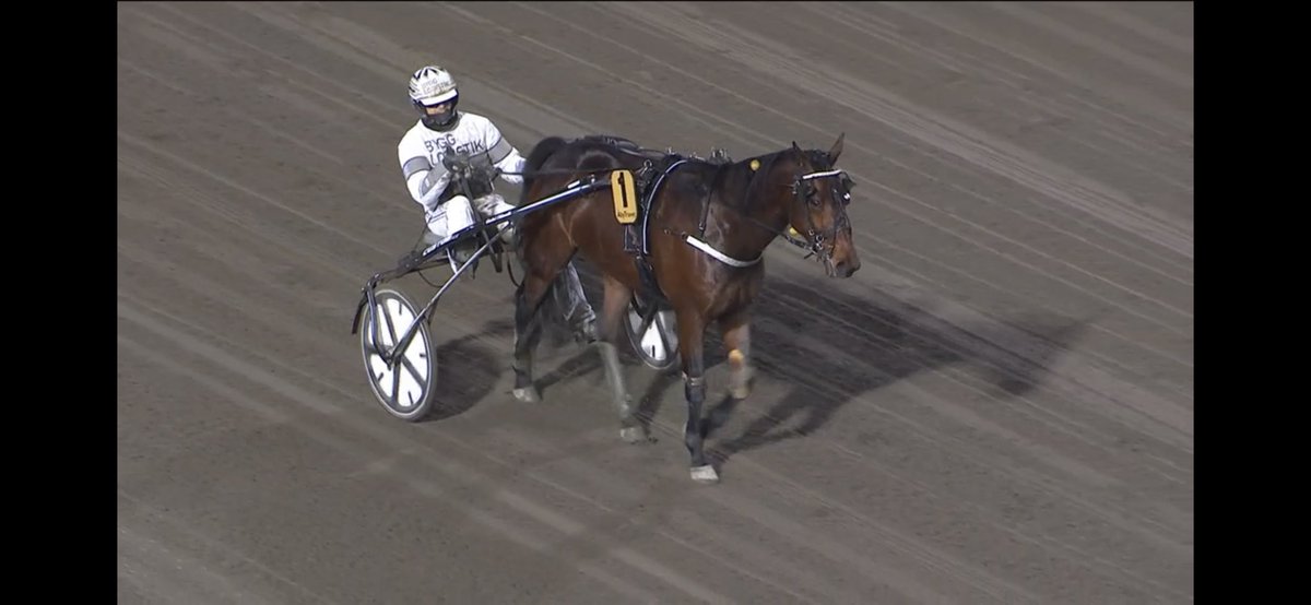 JessiicaHultman's tweet photo. Årets första seger för stallet fixar Wingait Leif 🤩🤩🤩 
Stort grattis ägare @wingaitake och skötare Johanna 🤩🤩 https://t.co/BIVkOzXIif