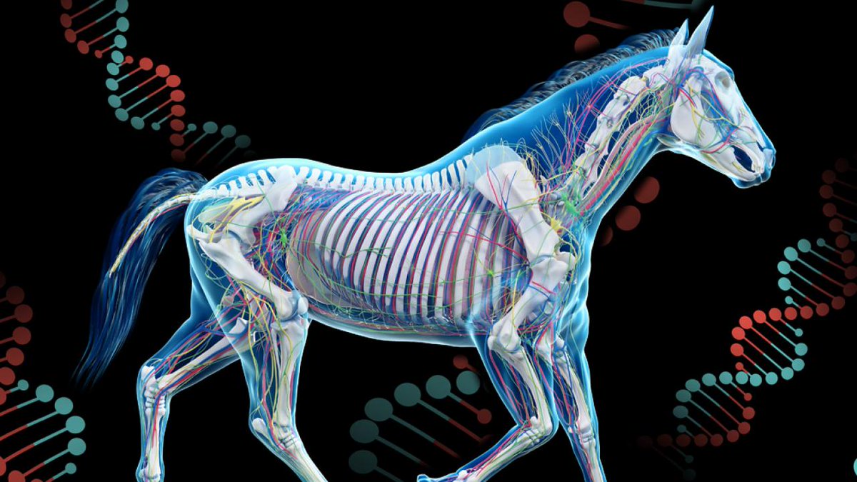 Clock Foundation (@clockfoundation) on Twitter photo The Horvath lab has now published a study showing that epigenetic clocks can be reliably measured in horses, zebras, & endangered equid species. <a href="/NatureComms/">Nature Communications</a> #wildlife #biodiversity
doi.org/10.1038/s41467… The Horvath lab has now published a study showing that epigenetic clocks can be reliably measured in horses, zebras, & endangered equid species. <a href="/NatureComms/">Nature Communications</a> #wildlife #biodiversity
doi.org/10.1038/s41467…
