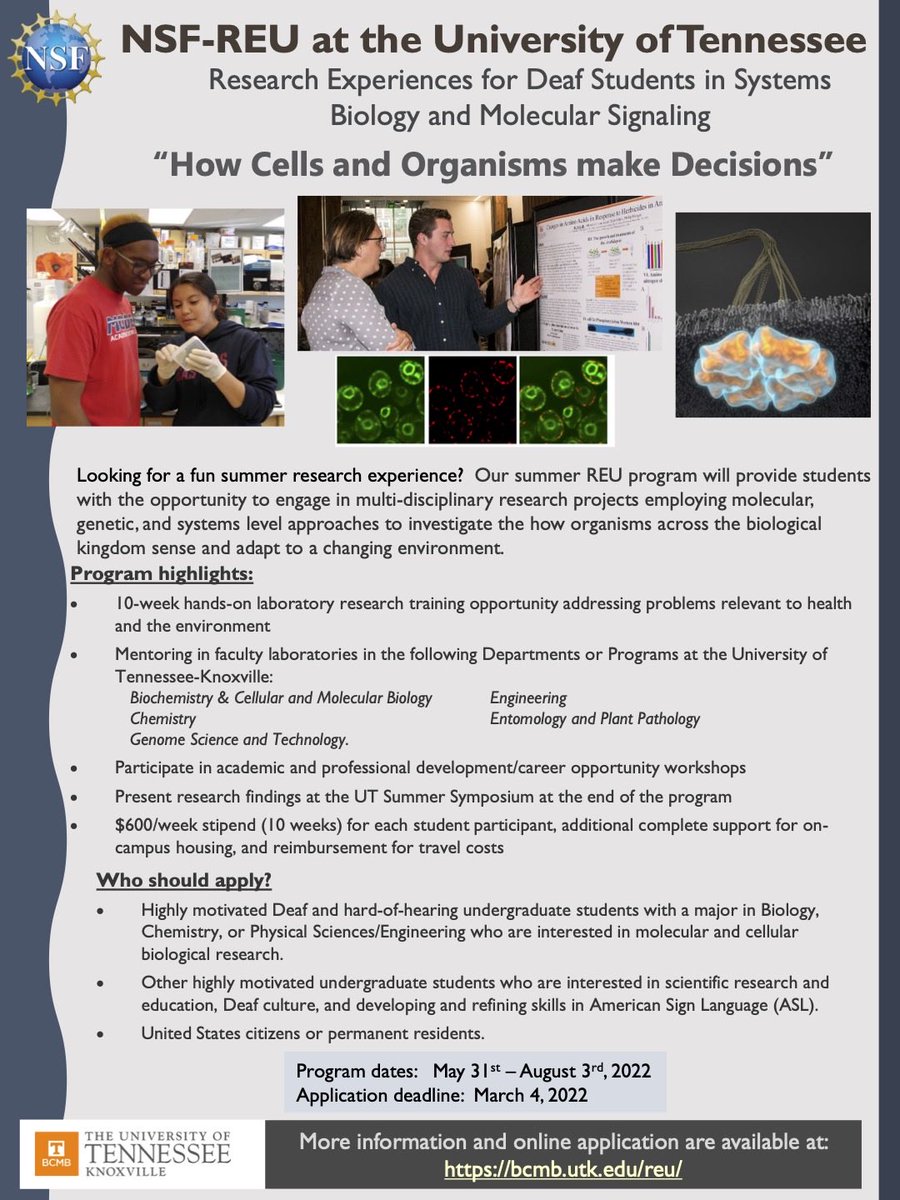 BCMB_UTK's tweet photo. Looking for fun summer research experience? Apply to our summer REU program. Link: https://t.co/ZUP70zuXus
#undergradresearch @UTKnoxville @UTK_URF https://t.co/gbCLqz3167