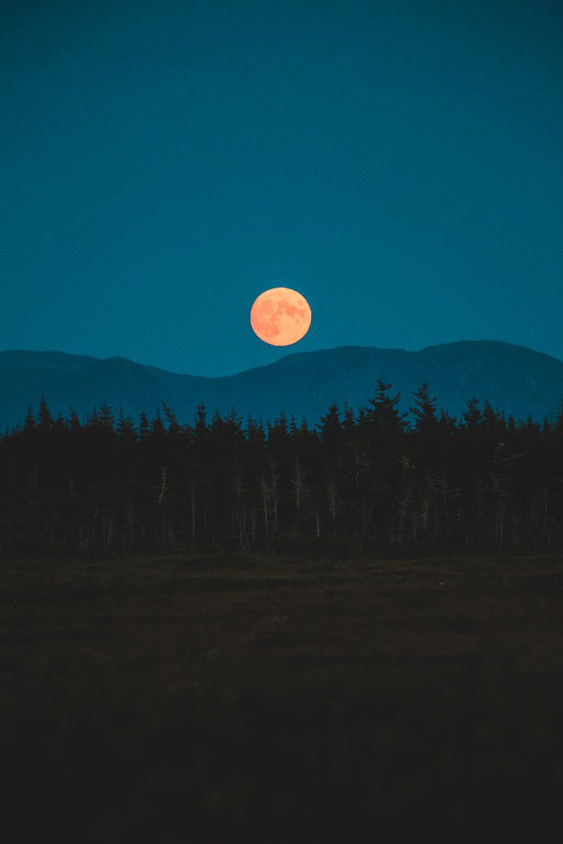 aestheticspost_'s tweet photo. https://t.co/zRhs3wDaRT