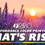 Image for the Tweet beginning: Affordable color printing, that's RISO!