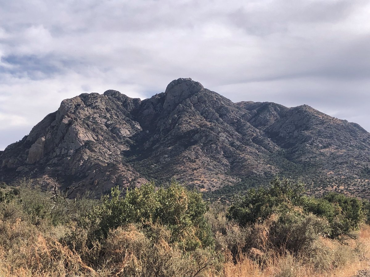 JenniferKFrey's tweet photo. My grad student @Hailey51390963 and I have been fortunate to study the Organ Mountains chipmunk on the gorgeous and biologically diverse Fort Bliss.  Working on military lands has been a pleasure and offers incredible opportunity! https://t.co/wjNR2rweoo