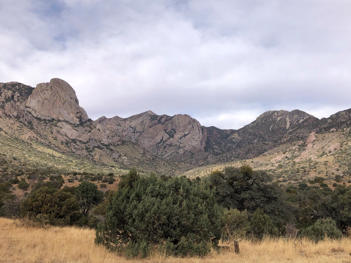 JenniferKFrey's tweet photo. My grad student @Hailey51390963 and I have been fortunate to study the Organ Mountains chipmunk on the gorgeous and biologically diverse Fort Bliss.  Working on military lands has been a pleasure and offers incredible opportunity! https://t.co/wjNR2rweoo