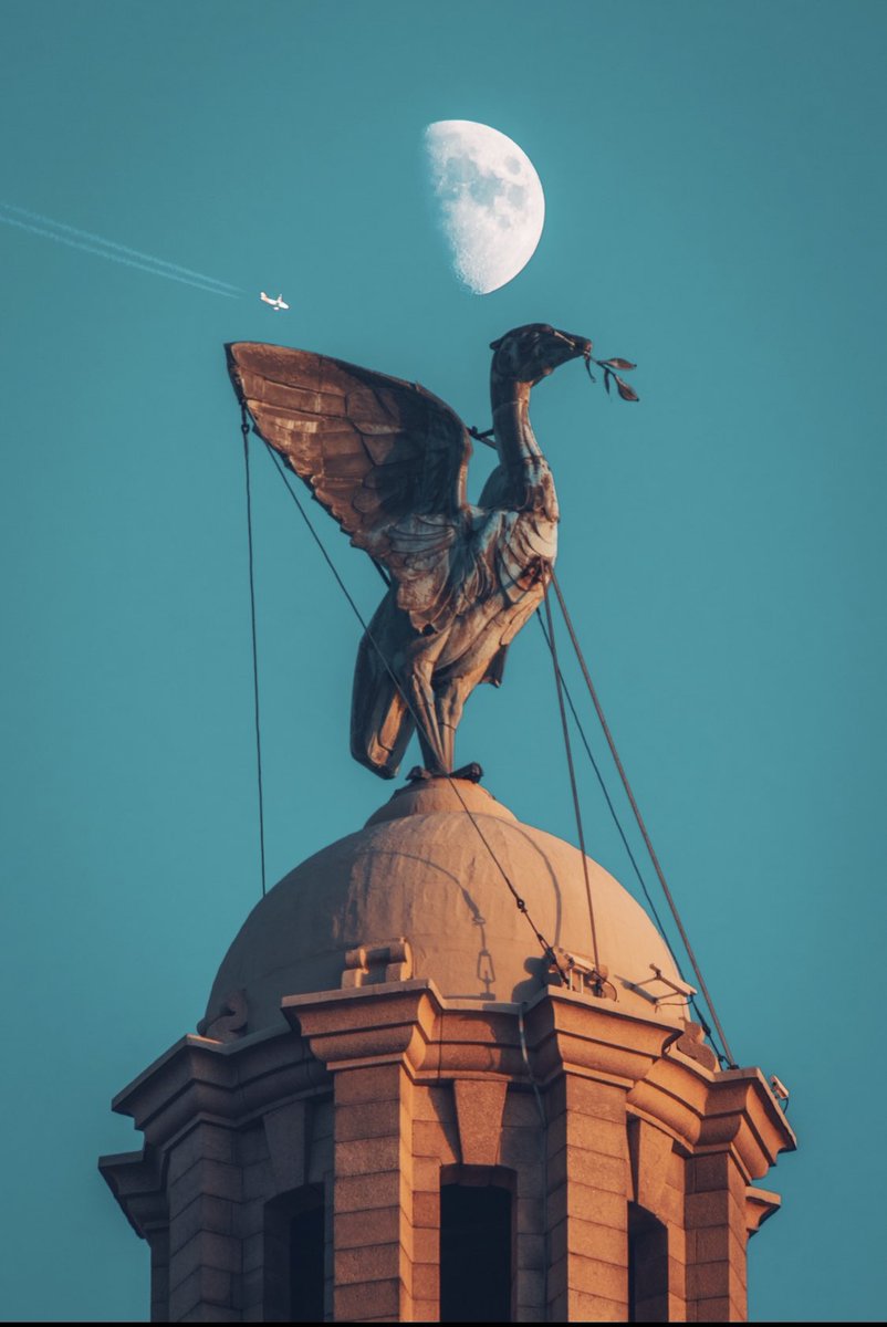 Straight to the moon #Liverpool 🚀 Print Available : bit.ly/3HU0bGq