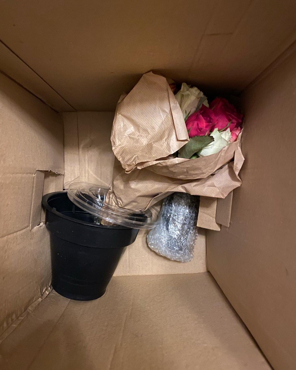 PunkeeJudester's tweet photo. My best friend sent me a birthday present using @Telefleurs and this is what I got! Disgraceful !! #telefleurs #badservice #donotusethiscompany https://t.co/mw3kb7rmb3