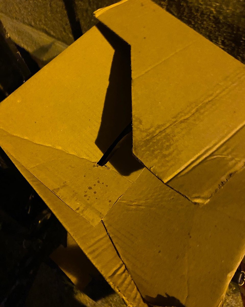 PunkeeJudester's tweet photo. My best friend sent me a birthday present using @Telefleurs and this is what I got! Disgraceful !! #telefleurs #badservice #donotusethiscompany https://t.co/mw3kb7rmb3