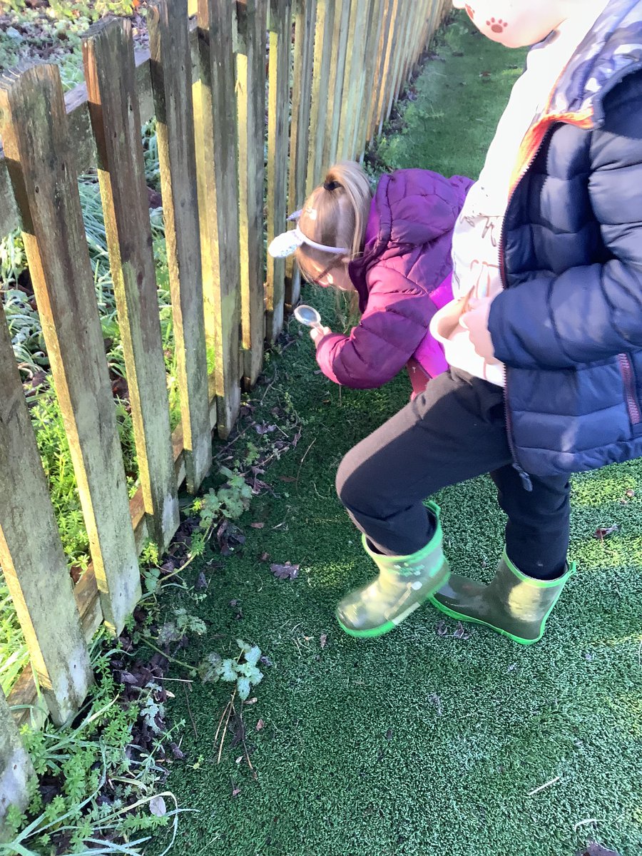 PuritonPrimary's tweet image. Ruby Class had their WOW day today, to introduce them to our new topic ‘Paws, Claws and Whiskers’. We went on a nature walk, recorded our findings using a pictogram, made bird feeders, found some missing animals from the zoo and met Gloria, our school hamster. #RubyClass