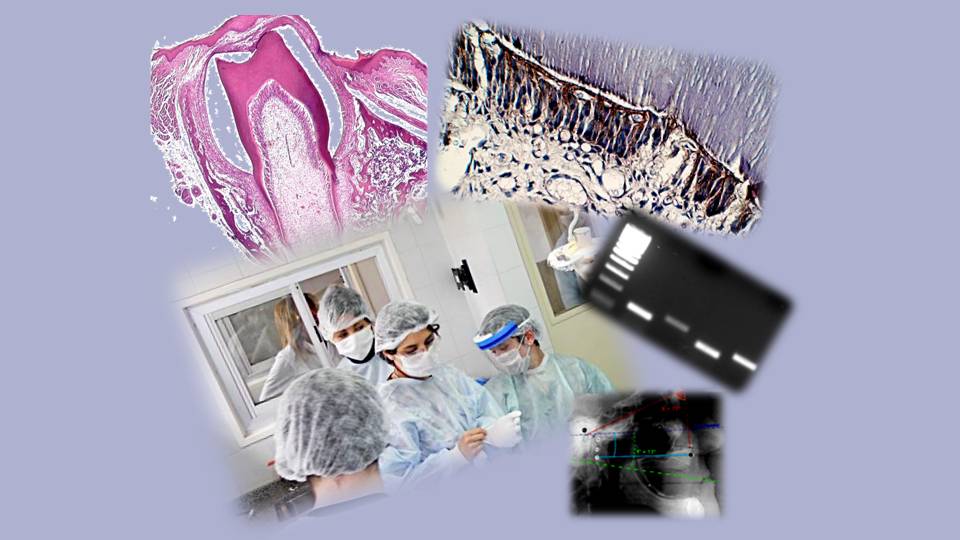 PrismaRU (@prismaru) on Twitter photo Tras dos años de #pandemia, la #ciencia ha dejado claro su papel en la sociedad.
En #DulceConCiencia 🔬🍭, <a href="/DulceGarcia007/">Dulce García</a> platica con Martín Bonfil, <a href="/mbonfil_65/">Martín Bonfil Olivera 🇺🇦</a>, académico de la <a href="/DGDCUNAM/">Divulgación de la Ciencia, UNAM</a>
#RelatamosAlMundo 🌎
📻 96.1 FM | bit.ly/961deFM Tras dos años de #pandemia, la #ciencia ha dejado claro su papel en la sociedad.
En #DulceConCiencia 🔬🍭, <a href="/DulceGarcia007/">Dulce García</a> platica con Martín Bonfil, <a href="/mbonfil_65/">Martín Bonfil Olivera 🇺🇦</a>, académico de la <a href="/DGDCUNAM/">Divulgación de la Ciencia, UNAM</a>
#RelatamosAlMundo 🌎
📻 96.1 FM | bit.ly/961deFM