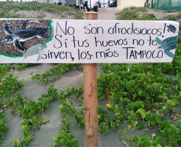 ¿Te queda claro? 🤔💚