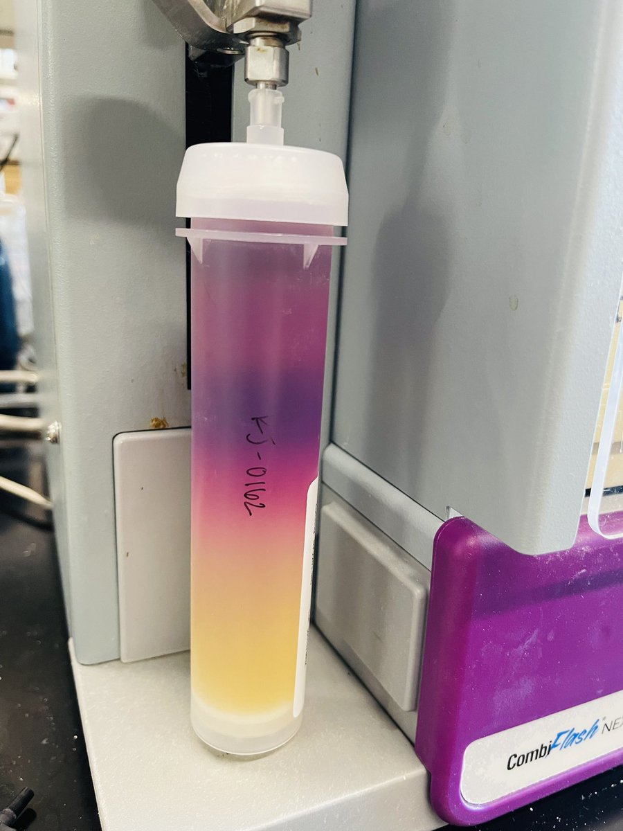 Katherine Jones tweet media