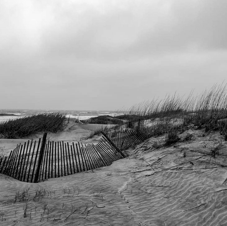 fdtuop's tweet photo. Without Heartbreak
#poetry #tested #soulmates #living #separatebuttogether #blackandwhitephotography #jekyllisland #coastalgeorgia https://t.co/jcg3o0RZ7C
