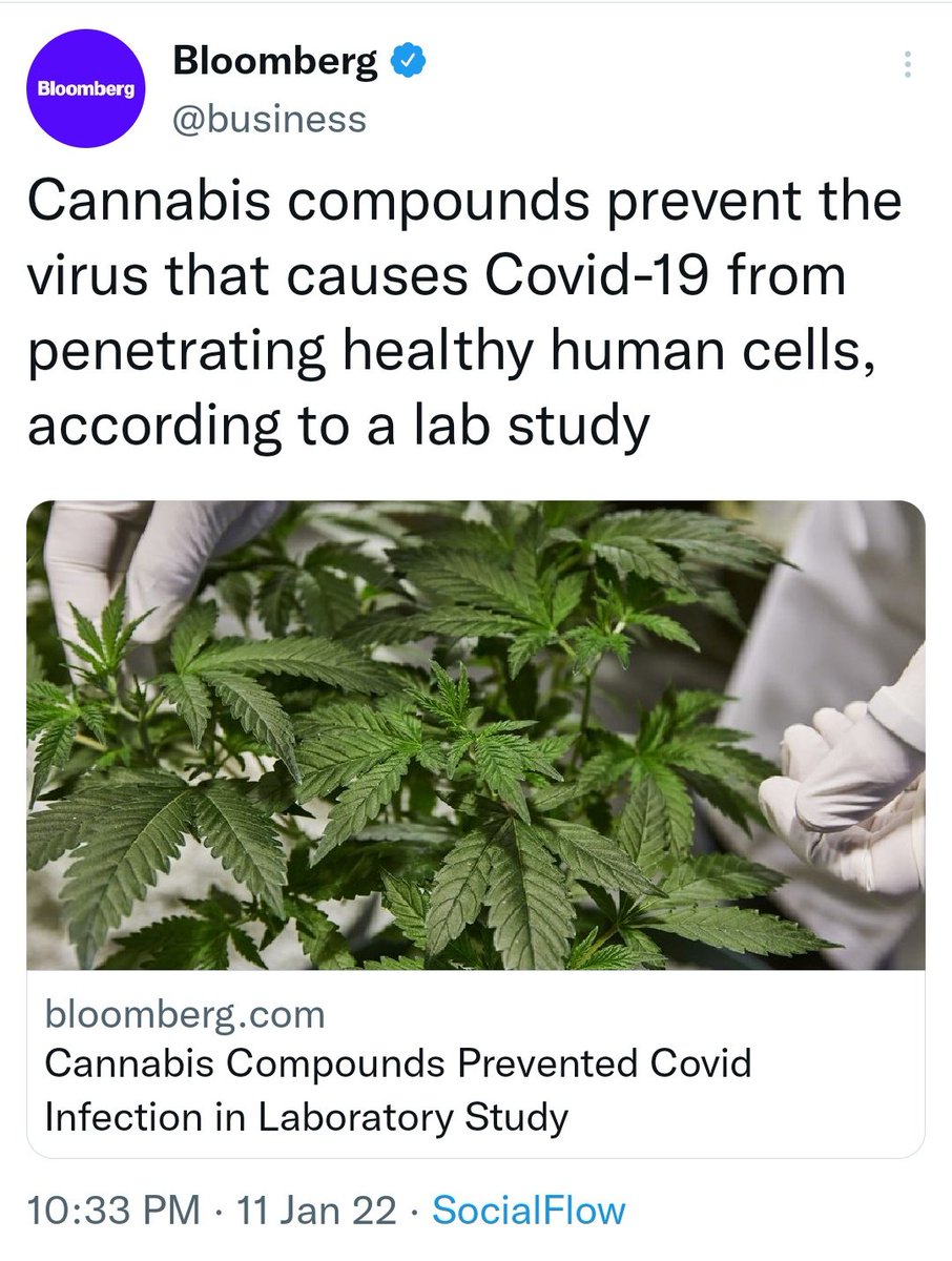 LasVegasLocally's tweet image. 👀