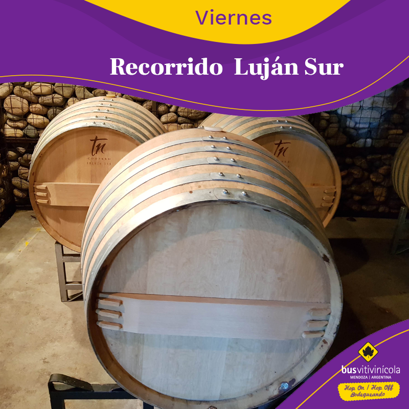 BusVitivinicola's tweet photo. Este #Viernes recorré con el Bus Vitivinícola Los Caminos del Vino de Luján Sur.
Visitaremos las bodegas @chandon_ar Zolo Wines, @susanabalbowines @bodegaa16 y @terrazas_andes
►Disfrutá un día #Bodegueando 🍇🍷
►WhatsApp 📲+54 9 261 2 63-9439 https://t.co/Zd7Edd1a4b