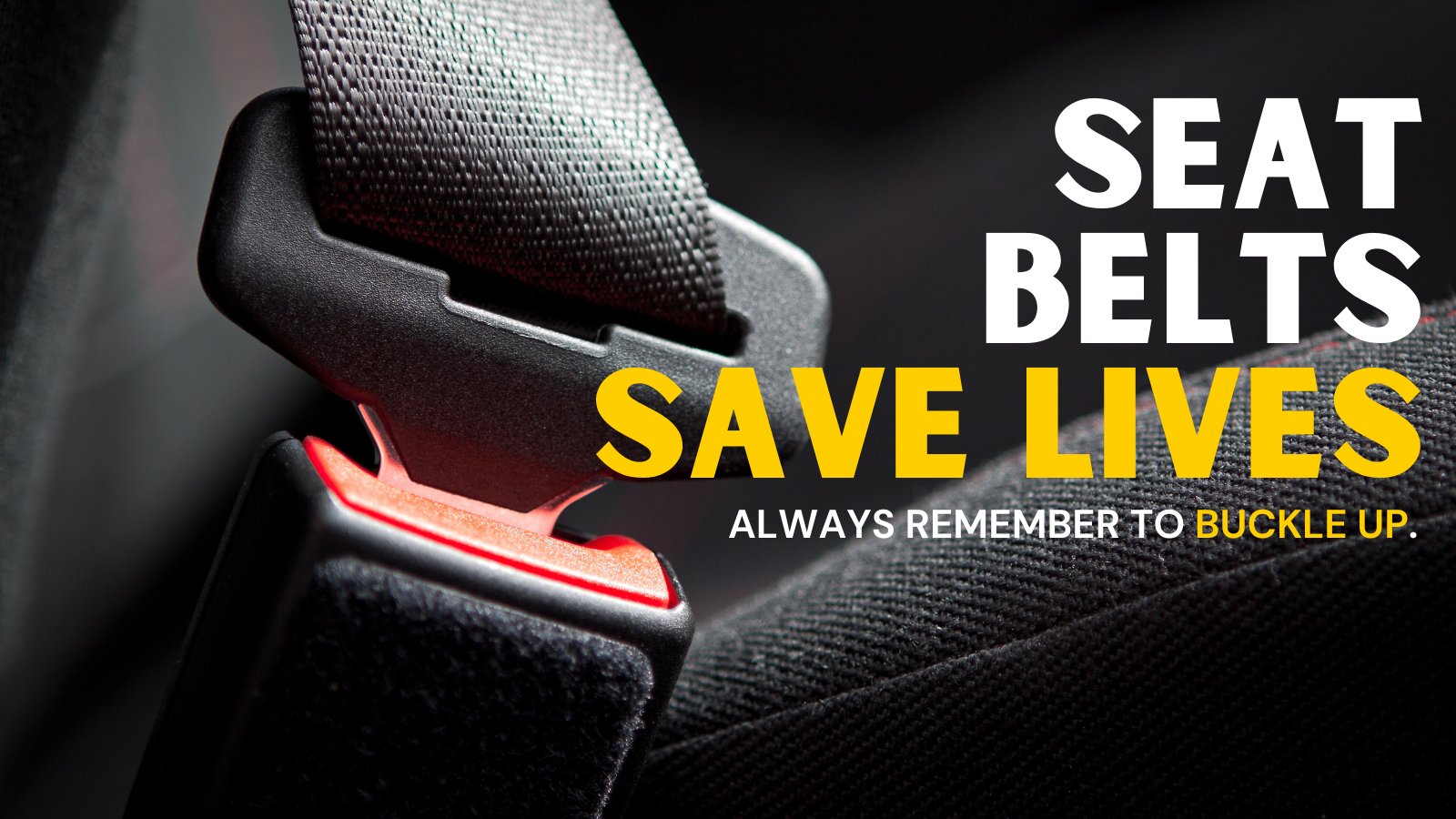 Learn about 193+ imagen seat belts save lives In.thptnganamst.edu.vn